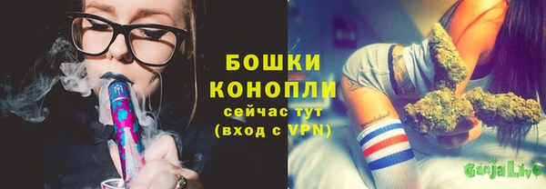 стафф Дмитриев