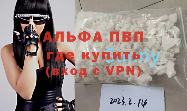 стафф Дмитриев