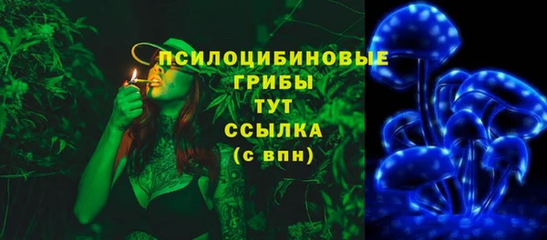 стафф Дмитриев