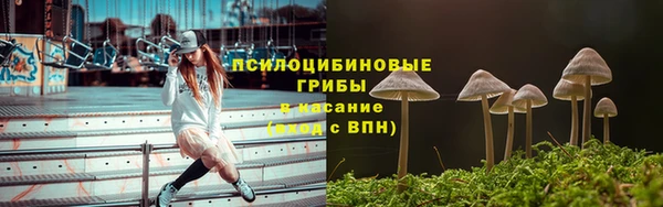 стафф Дмитриев